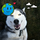 yangheng's avatar